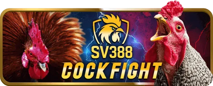 Hệ thống bảo mật Viva88