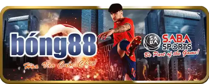Các môn thể thao khác tại viva88